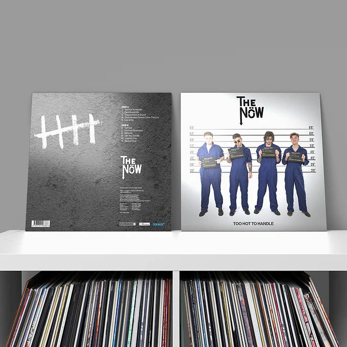 TOO HOT TO HANDLE (ALBUM VINYL)